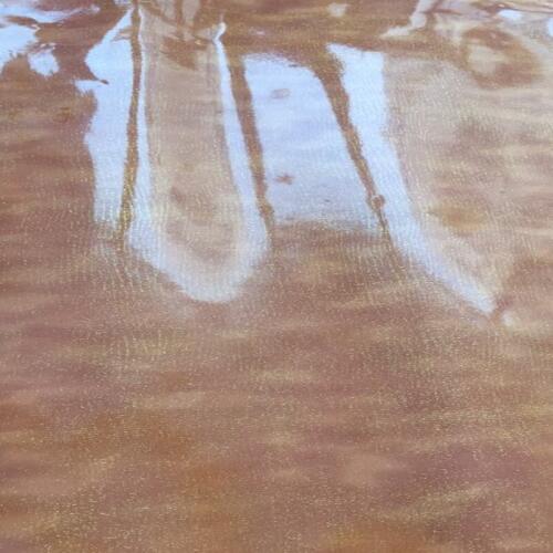 New Arrival Glossy Pattern gold Brown Genuine Goat Leather fabric for Purse/Shoes,Free Shipping