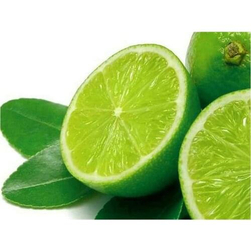 5d diamond painting green lemon full square fruit sticker diamond mosaic embroidery crafts embroidery home decoration