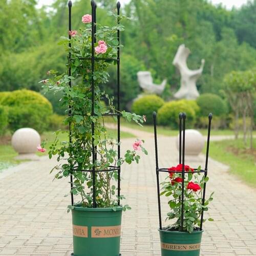 Plant Support Frame Garden Trellis Plants Stand Vegetable Protection Frame Home Decor Creative Vines Climbing Rack Plants Cages
