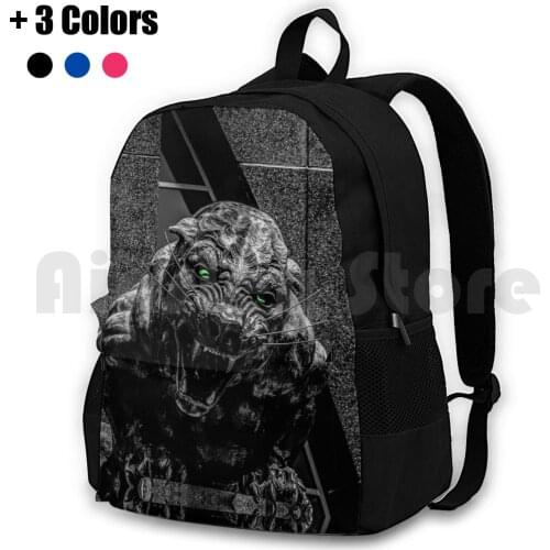 Panthers Outdoor Hiking Backpack Riding Climbing Sports Bag Panthers Stadium Panthers Nc Charlotte North Carolina Sports