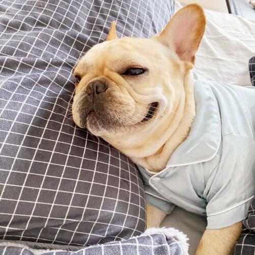 Fashion Pet Dog Shirt French Bulldog Pajamas For Small Medium Dogs Puppy Schnauzer Pjms Pug Vest Pets T-shirt PDC0063