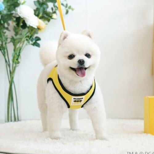 Disney Harnesses