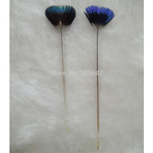 Rare Feathers! 10Pcs/Lot 5-6cm Long NATURAL PEACOCK CROWN FEATHERS-Fly Tying Material,Rare Peacock Feathers