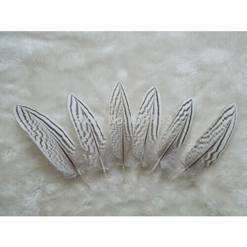 20Pcs/Lot! 10-14cm Loose Quills,SILVER PHEASANT Small Tail FEATHERS Natural White Black Fly/Fishing/Craft