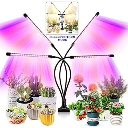 Phytolamps For Plants Alaberna China