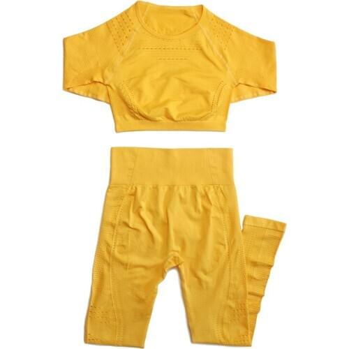 Women Sports Suit Seamless Yoga Set High Waist Gym Yoga Shirts Top Long Sleeve Fitness Clothing Sports Leggings Fitness Mesh