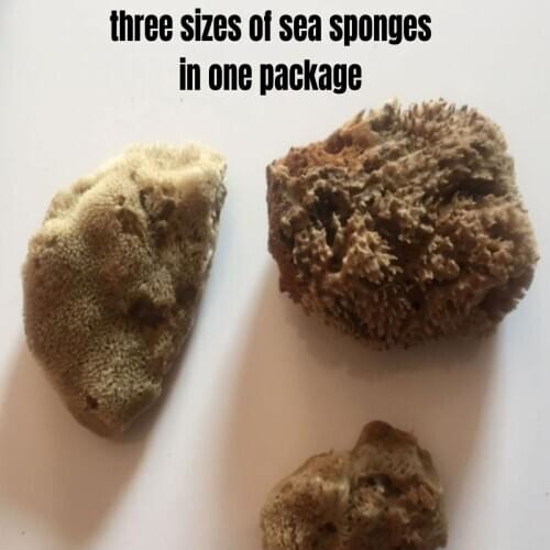 Sea Sponge Natural Mediterranean Bath Exfoliating Massager Shower Pouf Cleaning Brush Foam Body Facial 1 x pack = 3 x sponges