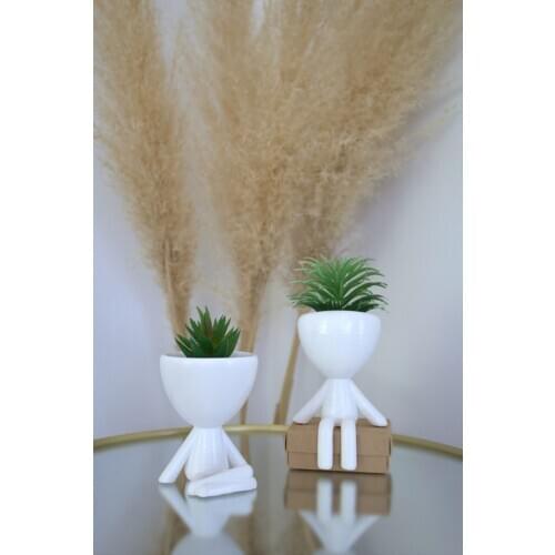Evion Humanoid Flower Pot Ceramic White 2-up Set Y