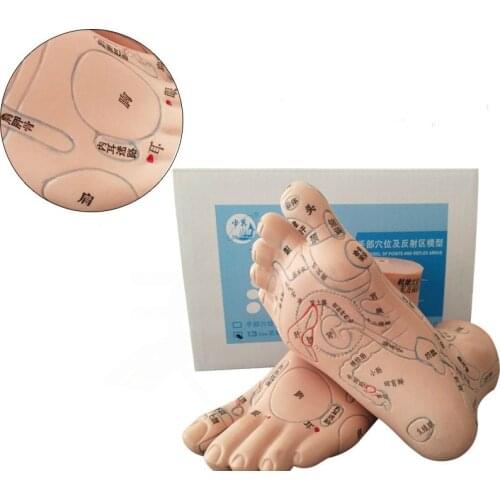13cm Foot Reflex Zone Massage Model, Not Acupuncture Model, Foot Massage Model Chinese Language Feet Reflexology,1 Pair Medical