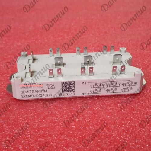 SKM40GD101D SKM40GD124D SKM40GD121D SKM40GD124DH8 IGBT Power Module