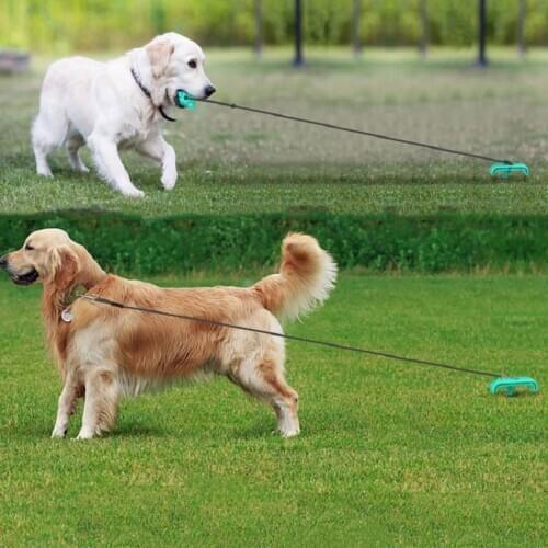 Outdoor New Pet Stake Leash Dog Leash Fixed Pile Garden Camping Puppy Steel Wire Leads Interactive Clean Teeth Chew Treat IQ Toy