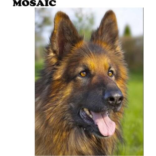 New Diamond Painting Full Round Diamond"Shepherd dog"animal 3D Embroidery Cross Stitch picture of Rhinestone 5D Mosaic decor art