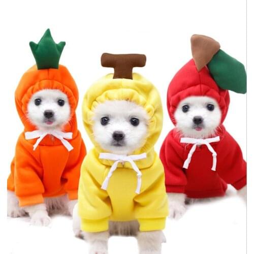 Dog Frutis Hoodies Warm Dogs Winter Clothes Cute Coat Hooded Fleece Pet Costume Jacket for French Bulldog Ropa Para Perro Kawaii