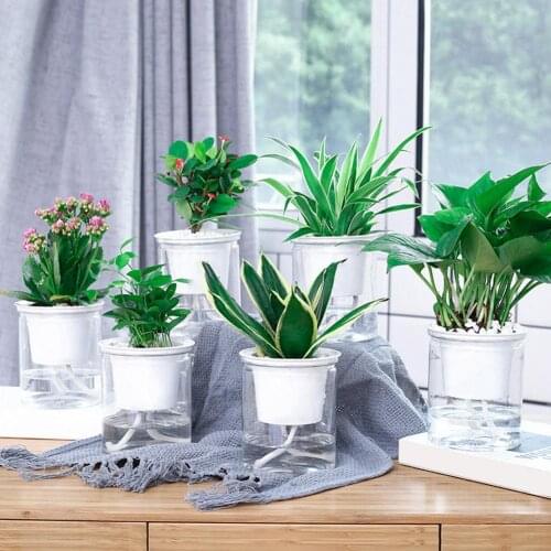 Transparent Automatic Water Absorption Self Watering Hydroponic Flower Pot Planter Garden Supplies Household Planting Flower Pot