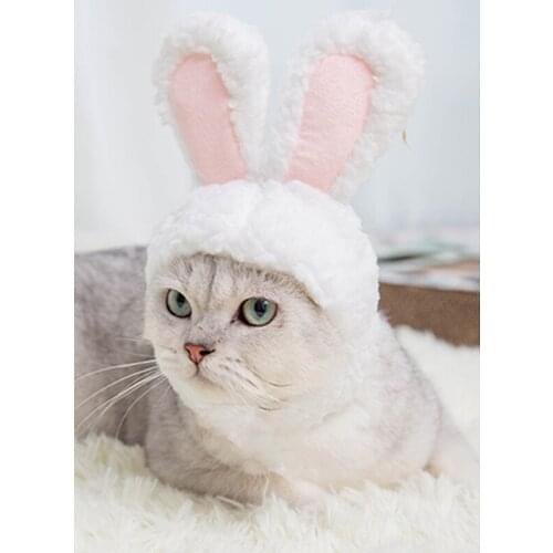 Dog hat cat headgear pet decoration small and medium-sized dog cute funny shape props rabbit earmuffs headdress