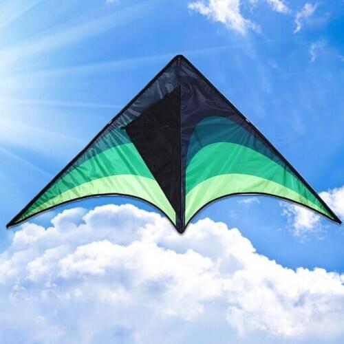 1.45m Kite Grote Fly Vogel Outdoor Toy Kite Weifang Kite High Quality KiteOutdoor Toy Kite Sport Toy
