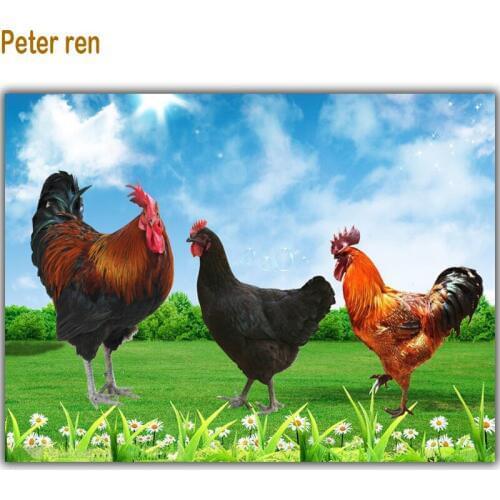 Diamond embroidery Cross stitch set Picture of diamonds mosaic diy 5d full diamond animal Diamond painting Happy Chicken Family