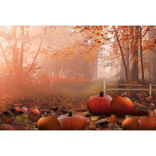 Thanksgiving fall leaves Pumpkin Forest Tree fence background Computer print children kids photo backdrop