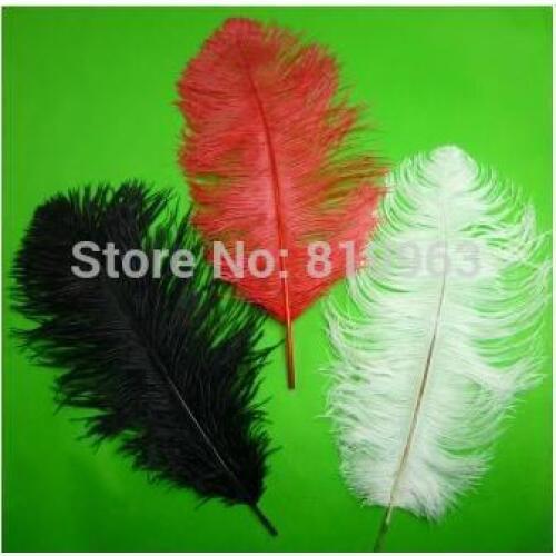 Ostrich Feathers For Appearing Cane And Vanish Cane-Magic Trick,Free Shipping!Accessories,Fire,Mentalism,Stage,Close Up,Fun