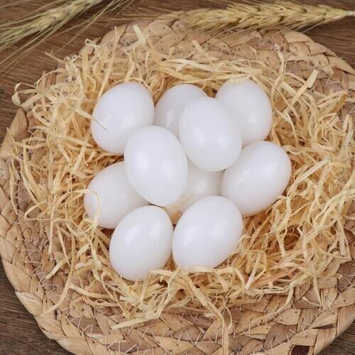 10PCS Fake Eggs Plastic Pigeon Egg Solid Pigeon Fake Egg Pigeon Hatching Supplies 2.5cm x 3.5cm