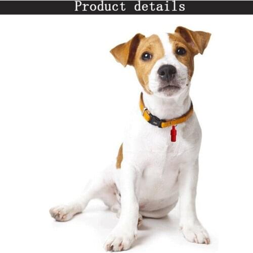 Dog Leash Dog Cat Storage Tube Anti Lost Silver Address Label Pet Kitten Puppy Id Tags Mini Metal Collar Tube Necklace Pendants