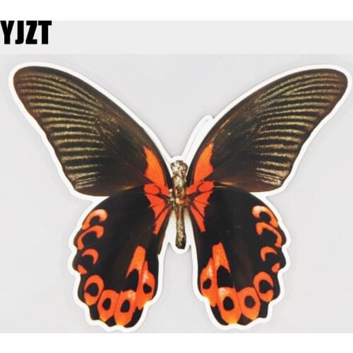 YJZT 15.9×12.5CM Two-Color Butterfly Animal Vinyl Decals Creative Scratch Cover Car Sticker 21A-1204