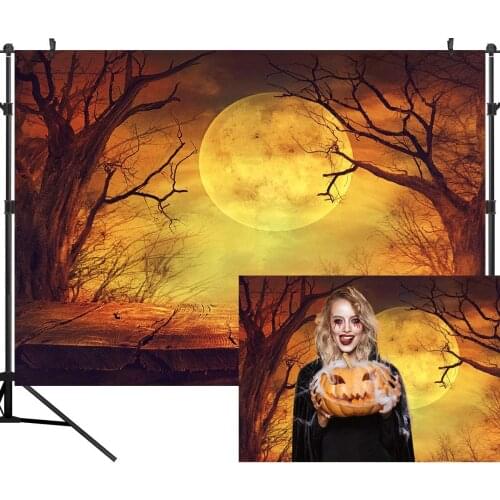 Halloween Moon Backdrops Photography Background Pumpkin Wood Floor Photo Studio Booth Photographer Props