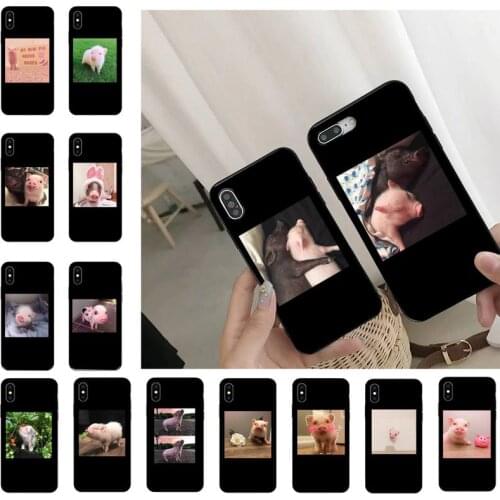 Funny Cartoon Pig Phone Case For iPhone 11 8 7 6 6S Plus 7 plus 8 plus X XS MAX 5 5S XR 12 11 Pro max se 2020 Funda Cover