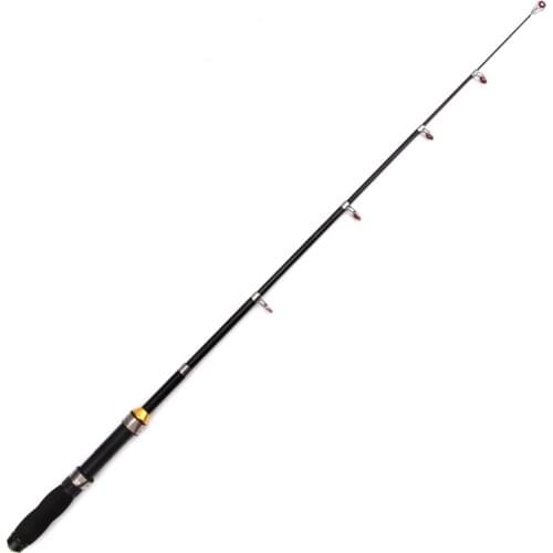 Outdoor Portable Pocket Spinning Rods Telescopic Glass Mini Sea Fishing Rod Fishing Rods Portable Ultra Light Fishing Accessory