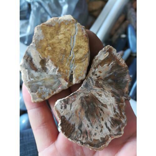 2 pieces natural stones and minerals crystal woodstone fossil tree for coaster home decoration wooden tree fossil madagascar