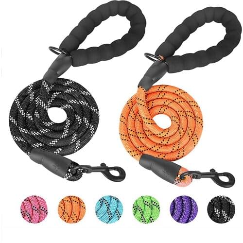 5 FT Strong Dog Leash with Comfortable Padded Handle and Highly Reflective Threads Dog Leashes for Medium and Large Dogs