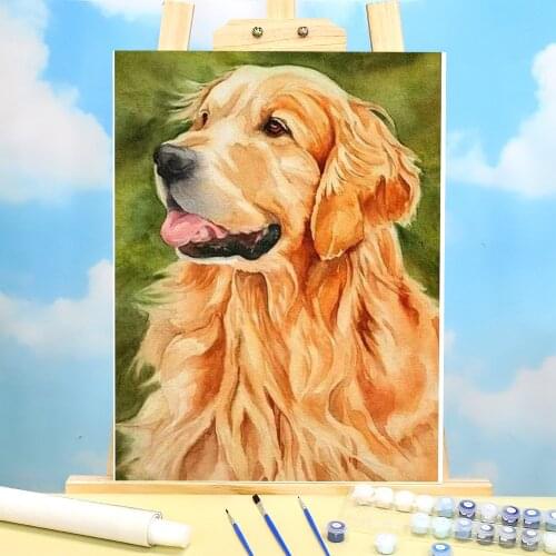 Animal Golden Retriever DIY Paint By Numbers Kit Acrylic Paints 40*50 Picture By Numbers Photo New Design Adults Drawing