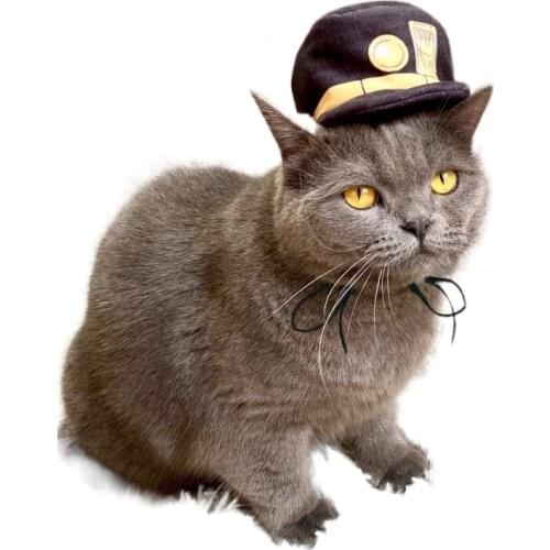 Cute Anime JoJo Bizarre Adventure Cosplay Pet Hat Cosplay Prop Kuujou Joutarou Cat Hat Headgear Anime Lovely Headwear