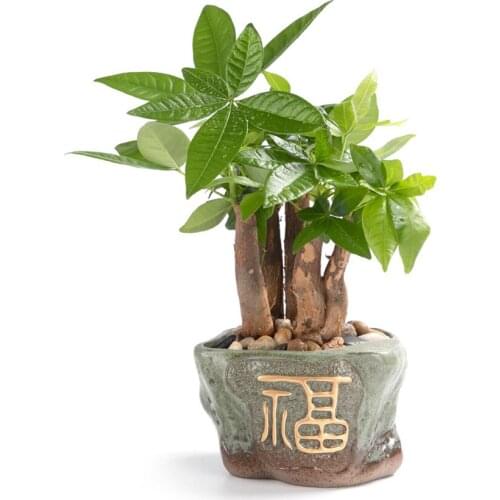 Ceramic Flower Pot Retro Breathable Potted Desktop Bonsai Green Plant Ornaments Old Pile Succulent Flower Pot Home Decoration