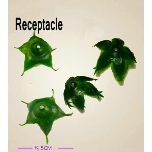 Rose leaves Receptacle large calyx size 5cm tine thorn pentagon Wire mesh materials wholesale Silk ronde flower 100pcs/lot