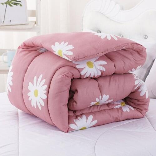 Thicken and Warm Autumn and Winter Quilt for Students and Adults In Winter Quilt Skinfriendly Bedding Quilt or Mattress