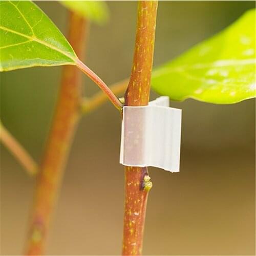 100pcs Durable Plastic Plant Support Clips For Types Plants Hanging Vine Garden Greenhouse Vegetables Garden Ornament
