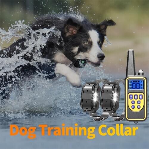 Dog Training Collar Electronic With Remote Control Pet Doggy 800M Device Charging Waterproof Dog Electric Shock Collar Training