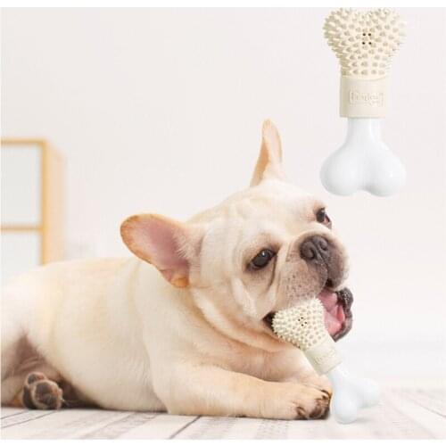 Pet Gnawing Toy Dog Toy Nylon Rubber Bite Resistant Molars Burr Massage Bone Missed Food Dog Chew Toys
