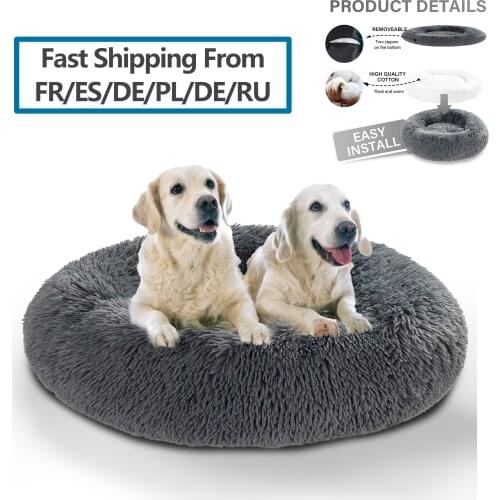 MOMOPAL Products For Dogs