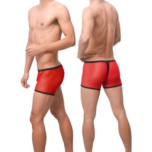 Sexy Men Underwear Transparent Boxer Shorts Breathable Mesh Panties Mid-waist U Convex Pouch Underpants Cueca calzoncillos M-XL