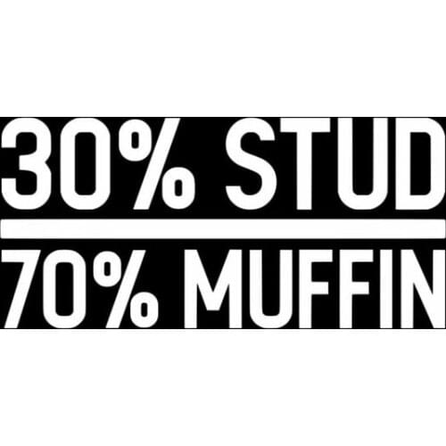 Black/Sliver 30% Stud Vinyl Decal Car Body Decal High Quality Waterproof Decals Rear windshield Decor S941