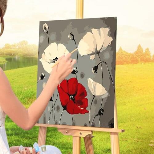 Poppy Flowers Paint By Numbers Kit Oil Paints 40*50 Picture By Numbers Photo New Design For Children For Drawing Art