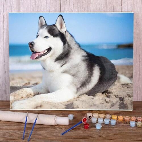 Animal Dog Husky Paint By Numbers Kit Acrylic Paints 50*70 Canvas Painting Home Decoration Crafts For Adults For Drawing Art