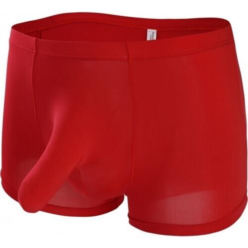 Mens underwear sexy boxers shorts elephant nose JJ silk underwear ice men shorts pants