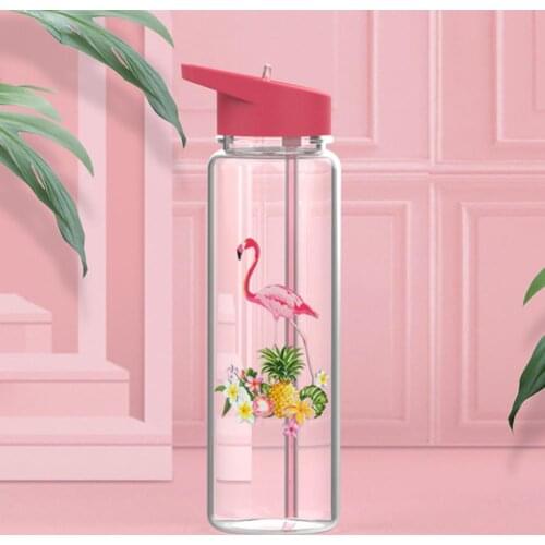 720ml Sport Water Bottle With straw,Bpa Free Flamingos Printing Sport Bottle Waterbottle For Women Girl Travel Water Cup Kettle