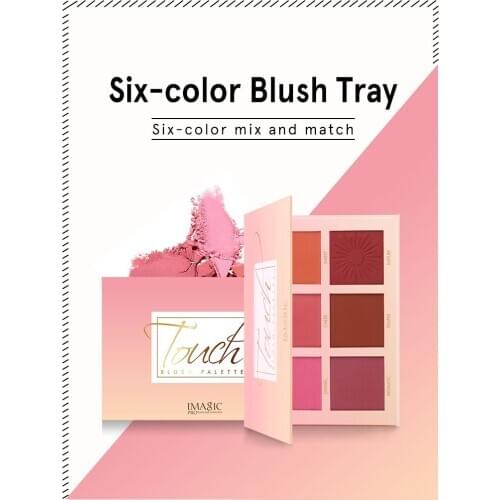 6 Color Multi-function Blush Dish Natural Lasting Contour Powder Palette Waterproof Blush Tray Bright Skin Color TSLM1