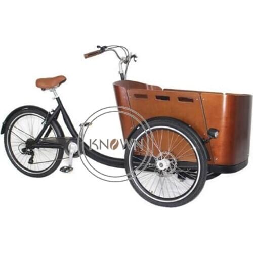 Outdoor Electric Three Wheels Tricycle Mobile Food Cart Delivery Goods Cabin Trike Cargo Bike for Home Use