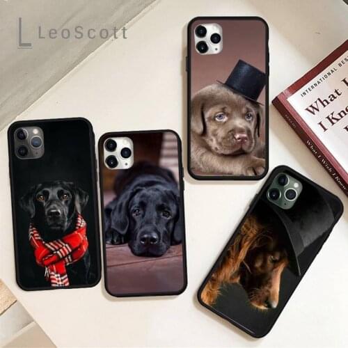 Sad Labrador Dog Phone Case for iPhone 11 12 pro XS MAX 8 7 6 6S Plus X 5S SE 2020 XR Soft silicone