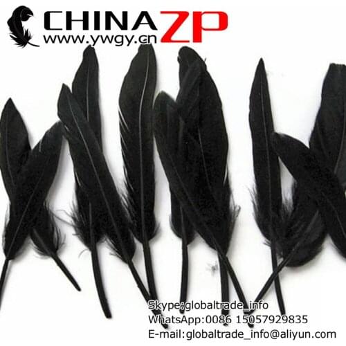Made in CHINAZP Factory 1000pcs/lot Gorgeous Graceful Dyed Black Duck Cochettes Loose Feathers